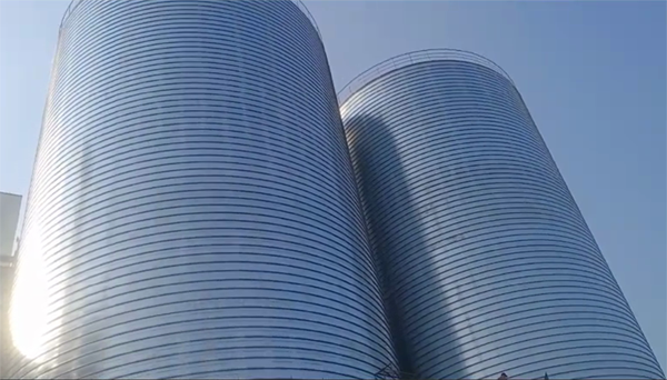 易县2座混凝土高架卷板仓